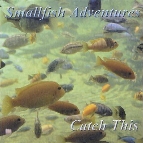 Acheter Catch This Bon état - 14,93 € Catch This Bon état - reconditionné disponible sur Label Emmaüs